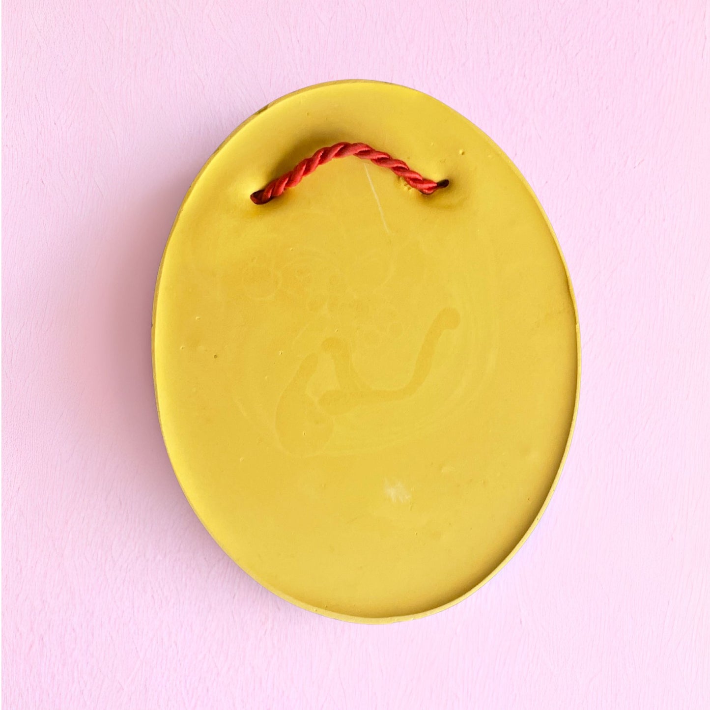 Vulva Anatomie Modell