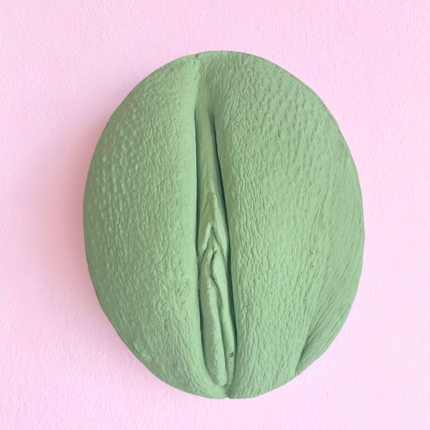 3 Vulva Anatomie Modelle, eine Farbe, Version A