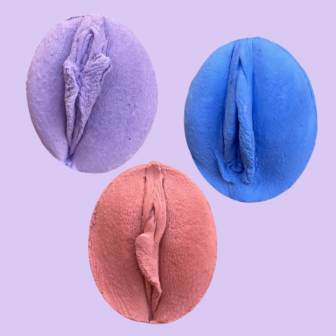 Anatomy Model Set