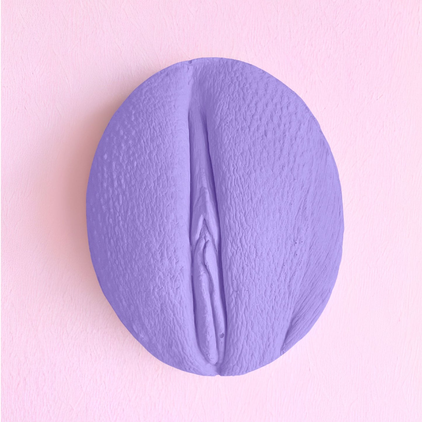 5 Vulva Anatomie Modelle, eine Farbe