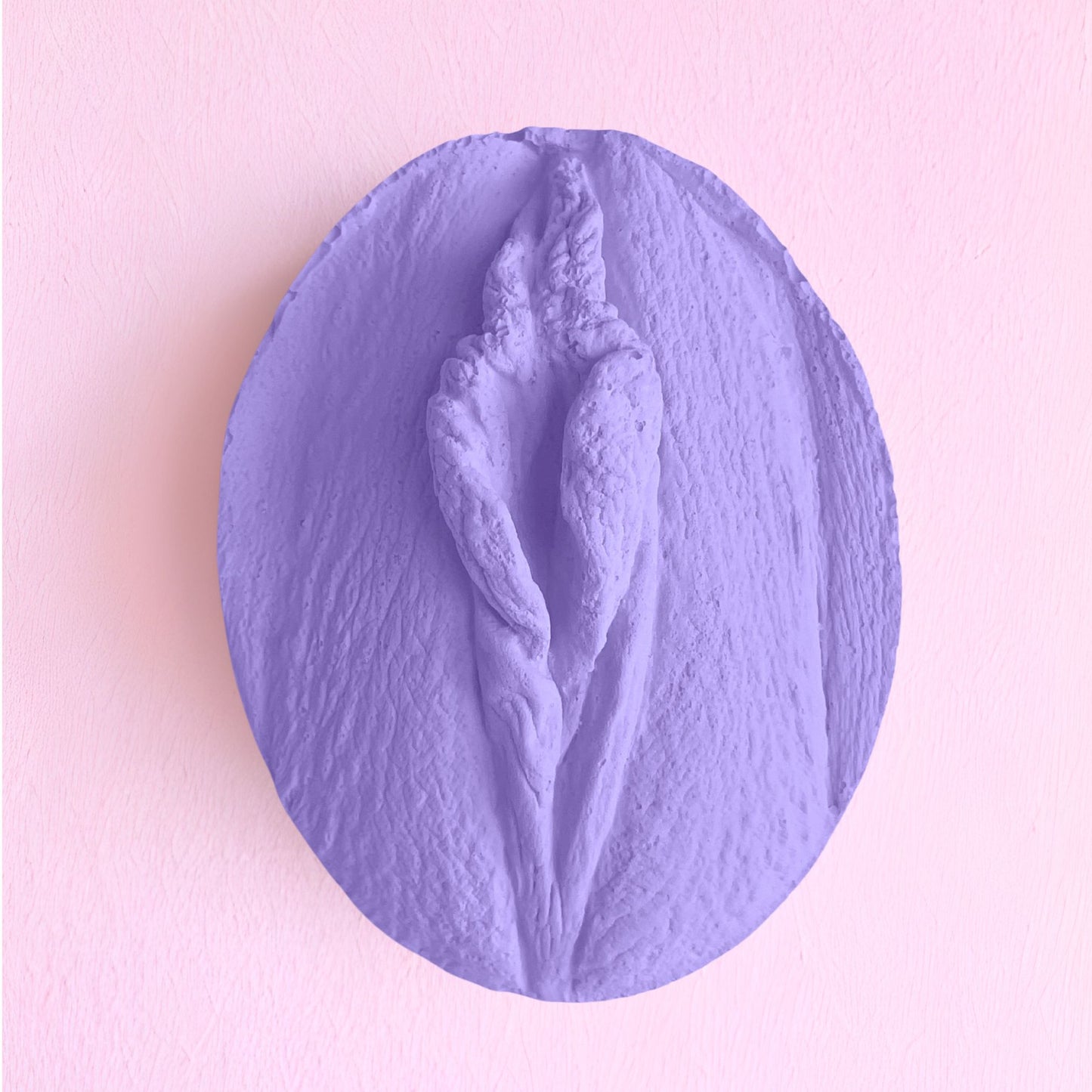 5 Vulva Anatomie Modelle, eine Farbe