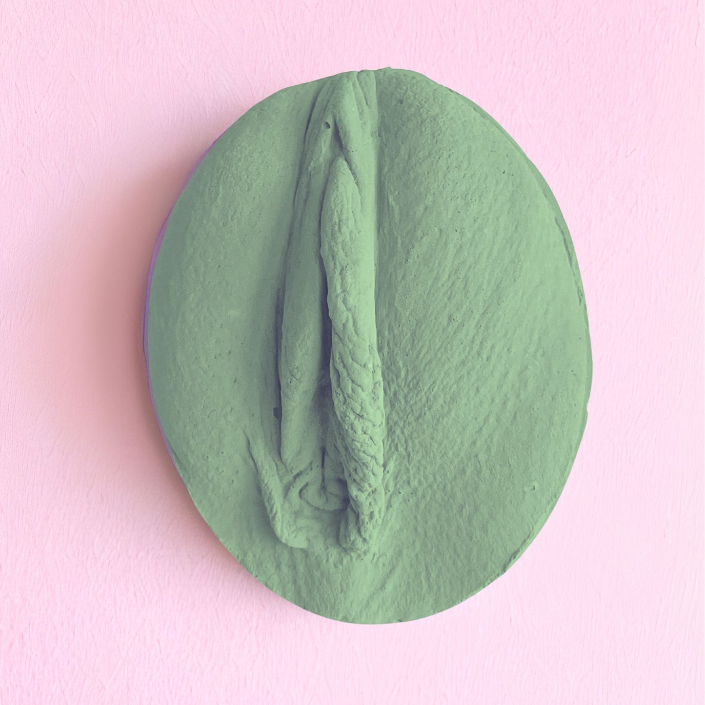 3 Vulva Anatomie Modelle, eine Farbe, Version A