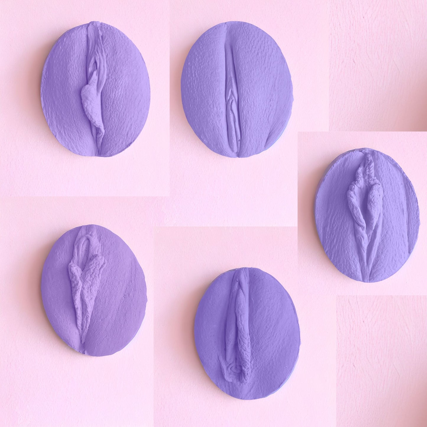 5 Vulva Anatomie Modelle, eine Farbe