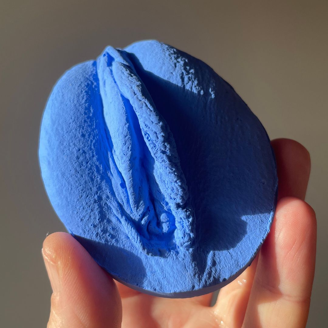 5 Vulva Anatomie Modelle, verschiedene Farben