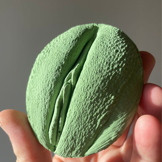 3 Vulva Anatomie Modelle, eine Farbe, Version A