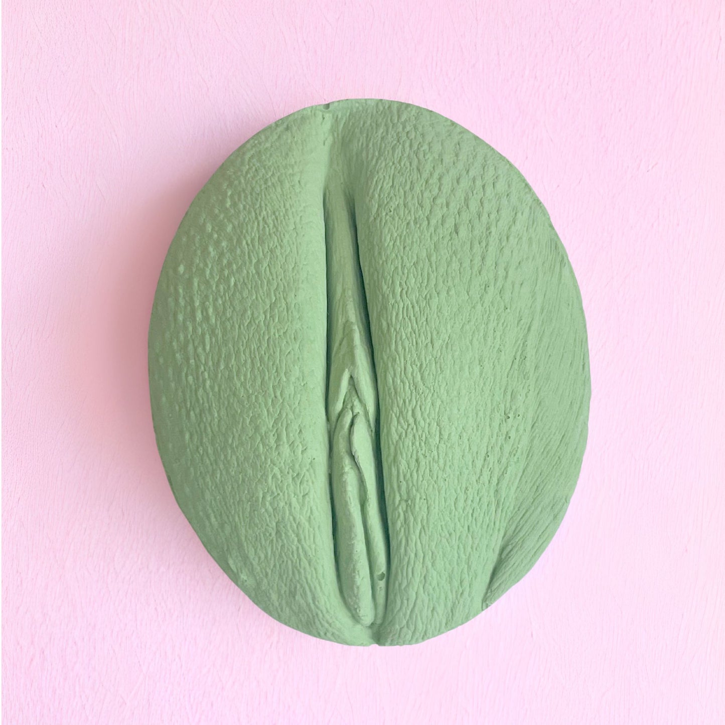 5 Vulva Anatomie Modelle, verschiedene Farben