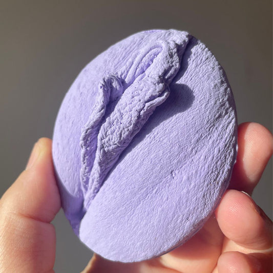 5 Vulva Anatomie Modelle, eine Farbe